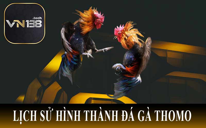 Lịch sủ hình thành đá gà thomo